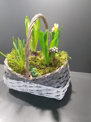 Корзина из первоцветов со мхом.